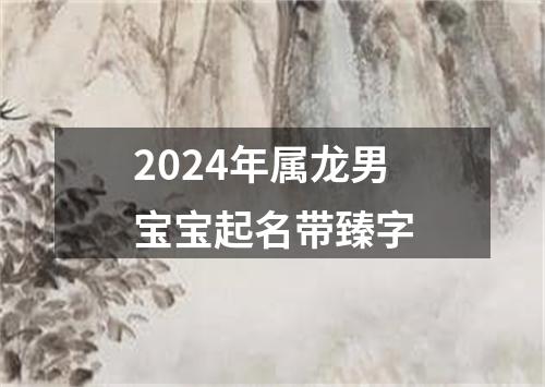 2024年属龙男宝宝起名带臻字