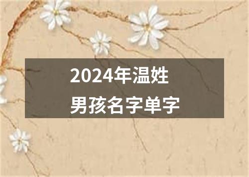 2024年温姓男孩名字单字