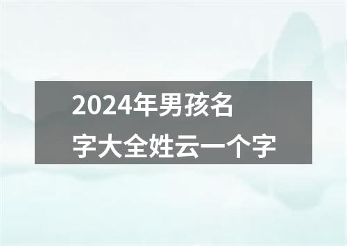 2024年男孩名字大全姓云一个字