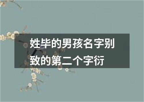 姓毕的男孩名字别致的第二个字衍