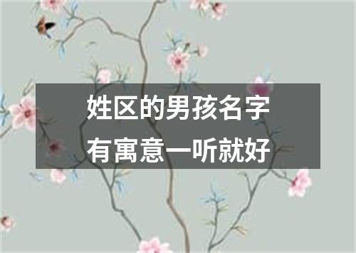 姓区的男孩名字有寓意一听就好