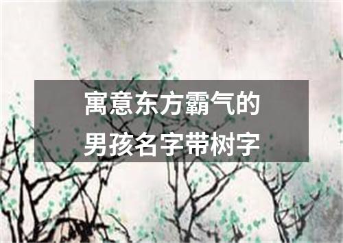 寓意东方霸气的男孩名字带树字