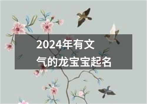 2024年有文气的龙宝宝起名