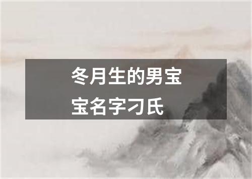 冬月生的男宝宝名字刁氏