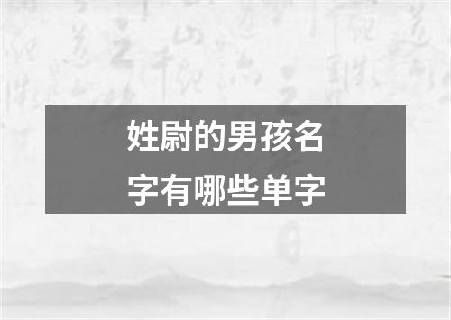 姓尉的男孩名字有哪些单字