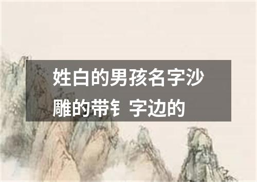 姓白的男孩名字沙雕的带钅字边的