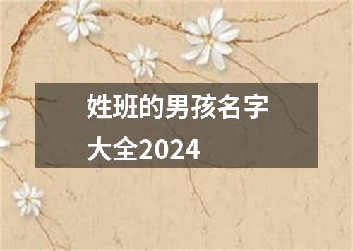 姓班的男孩名字大全2024