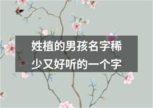 姓植的男孩名字稀少又好听的一个字