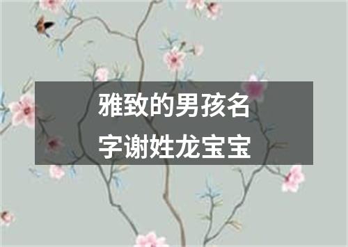 雅致的男孩名字谢姓龙宝宝