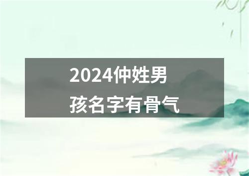 2024仲姓男孩名字有骨气