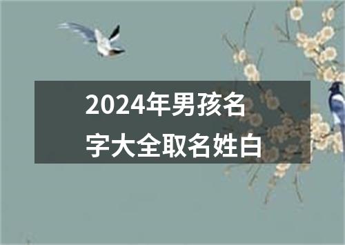 2024年男孩名字大全取名姓白