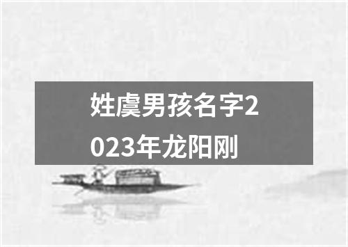 姓虞男孩名字2023年龙阳刚