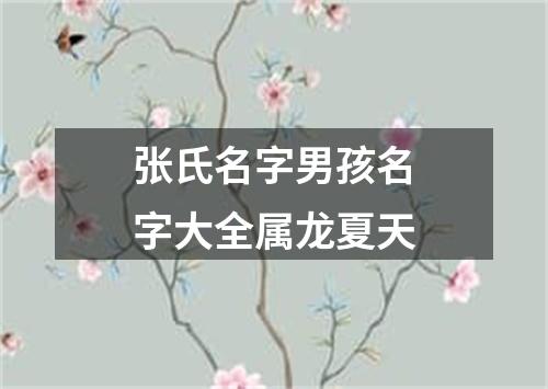 张氏名字男孩名字大全属龙夏天