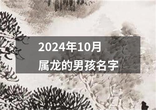 2024年10月属龙的男孩名字