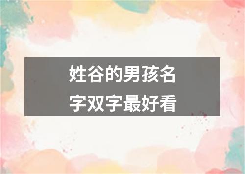 姓谷的男孩名字双字最好看