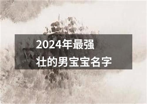 2024年最强壮的男宝宝名字