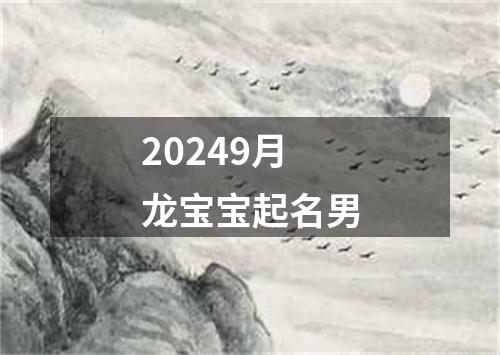 20249月龙宝宝起名男