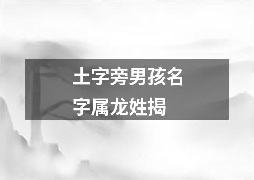 土字旁男孩名字属龙姓揭