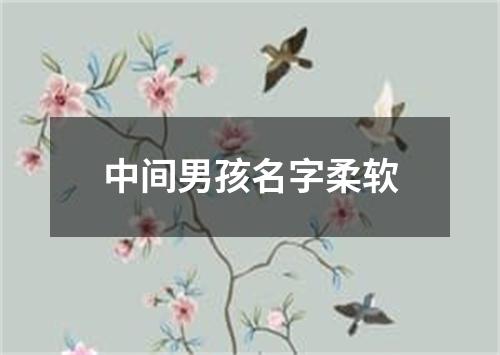 中间男孩名字柔软