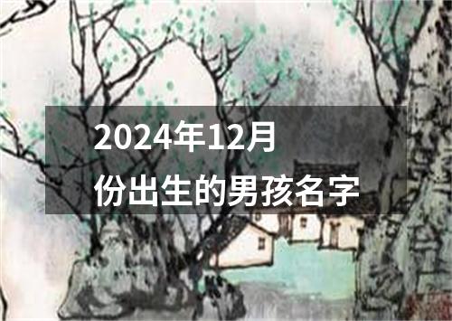 2024年12月份出生的男孩名字