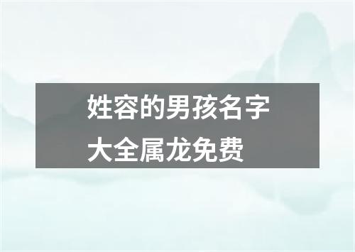 姓容的男孩名字大全属龙免费