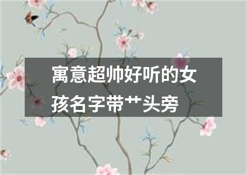 寓意超帅好听的女孩名字带艹头旁