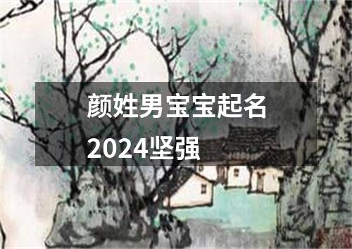 颜姓男宝宝起名2024坚强