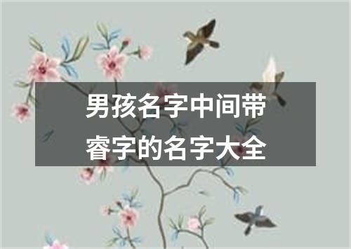 男孩名字中间带睿字的名字大全