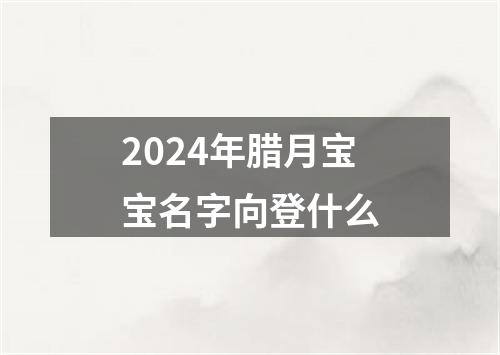 2024年腊月宝宝名字向登什么