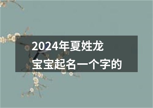 2024年夏姓龙宝宝起名一个字的