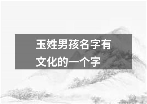 玉姓男孩名字有文化的一个字