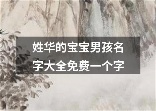 姓华的宝宝男孩名字大全免费一个字