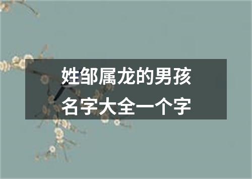 姓邹属龙的男孩名字大全一个字