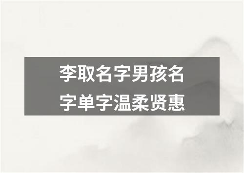 李取名字男孩名字单字温柔贤惠