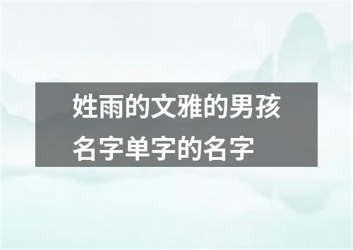 姓雨的文雅的男孩名字单字的名字