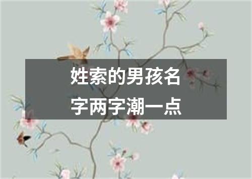 姓索的男孩名字两字潮一点