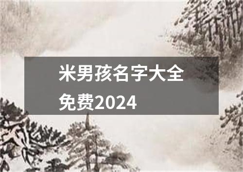 米男孩名字大全免费2024