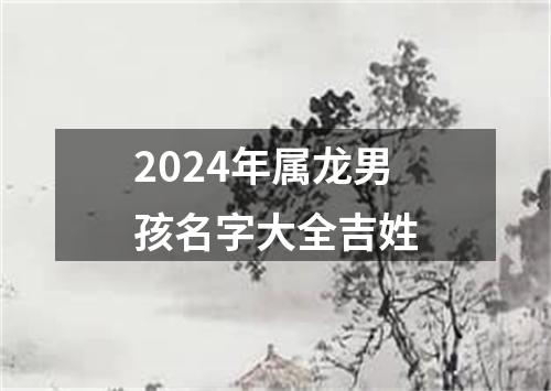 2024年属龙男孩名字大全吉姓