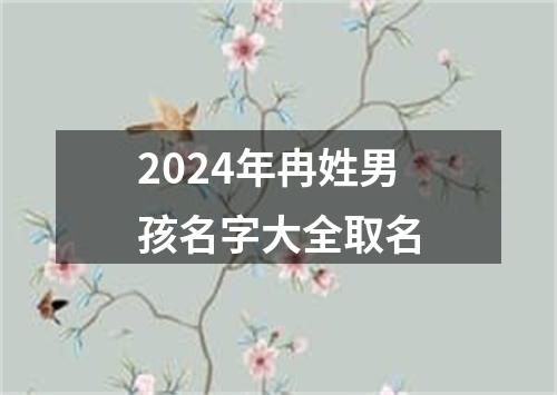 2024年冉姓男孩名字大全取名