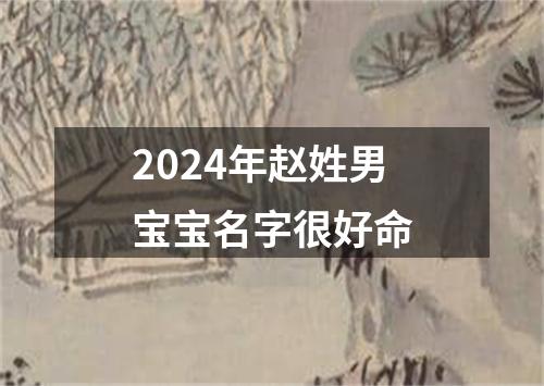 2024年赵姓男宝宝名字很好命