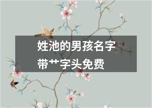 姓池的男孩名字带艹字头免费