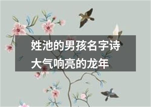 姓池的男孩名字诗大气响亮的龙年