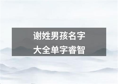 谢姓男孩名字大全单字睿智