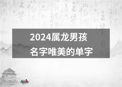 2024属龙男孩名字唯美的单字