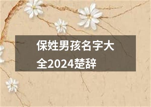 保姓男孩名字大全2024楚辞