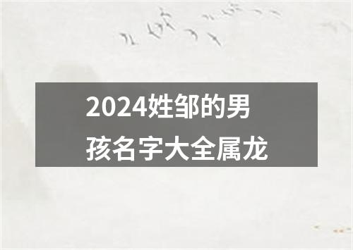 2024姓邹的男孩名字大全属龙