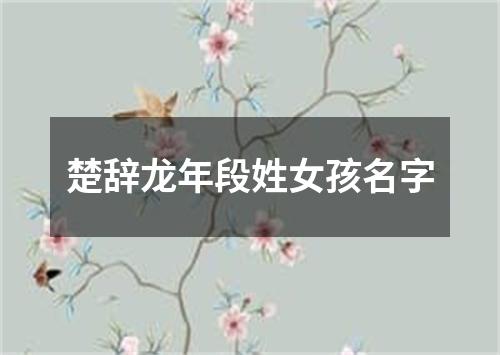 楚辞龙年段姓女孩名字