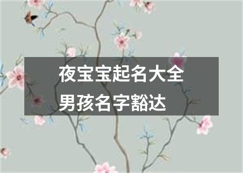 夜宝宝起名大全男孩名字豁达