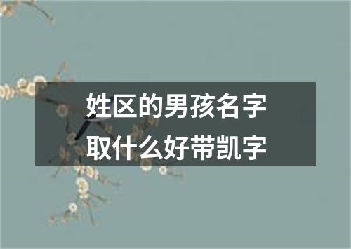 姓区的男孩名字取什么好带凯字