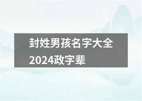 封姓男孩名字大全2024政字辈